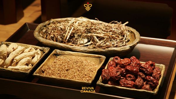 Đây là vua của tất cả các loại thảo mộc trong y học cổ truyền Trung Quốc