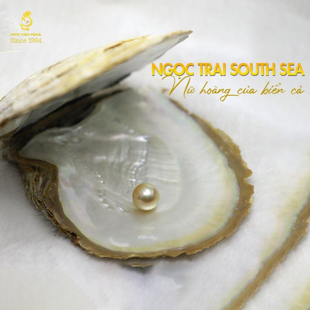 Ngọc Trai South Sea: Tuyệt Phẩm Quý Hiếm Chỉ Có Tại Ngoc Hien Pearl