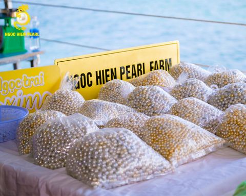 SỰ KIỆN KHÁM PHÁ BÍ ẨN BÁU VẬT TỪ ĐẠI DƯƠNG