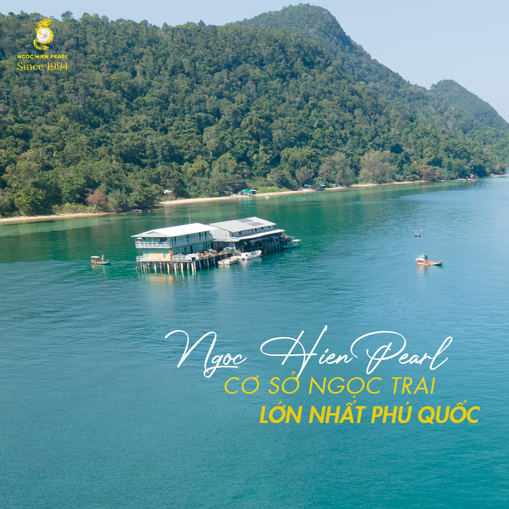 Cơ Sở Ngọc Trai Lớn Nhất Phú Quốc: Hành Trình Từ Lặn Biển Đến Di Sản 1000ha