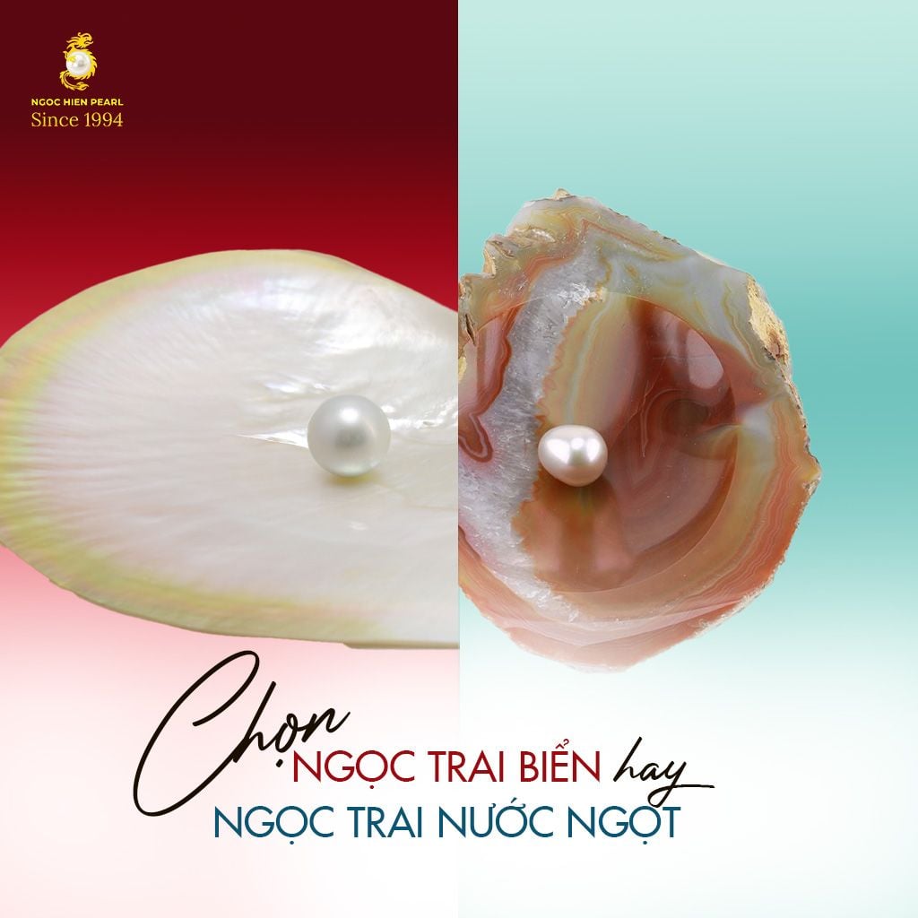 Ngọc Trai Biển Và Ngọc Trai Nước Ngọt: 5 Khác Biệt Về Giá, Chất Lượng & Trang Sức Cao Cấp