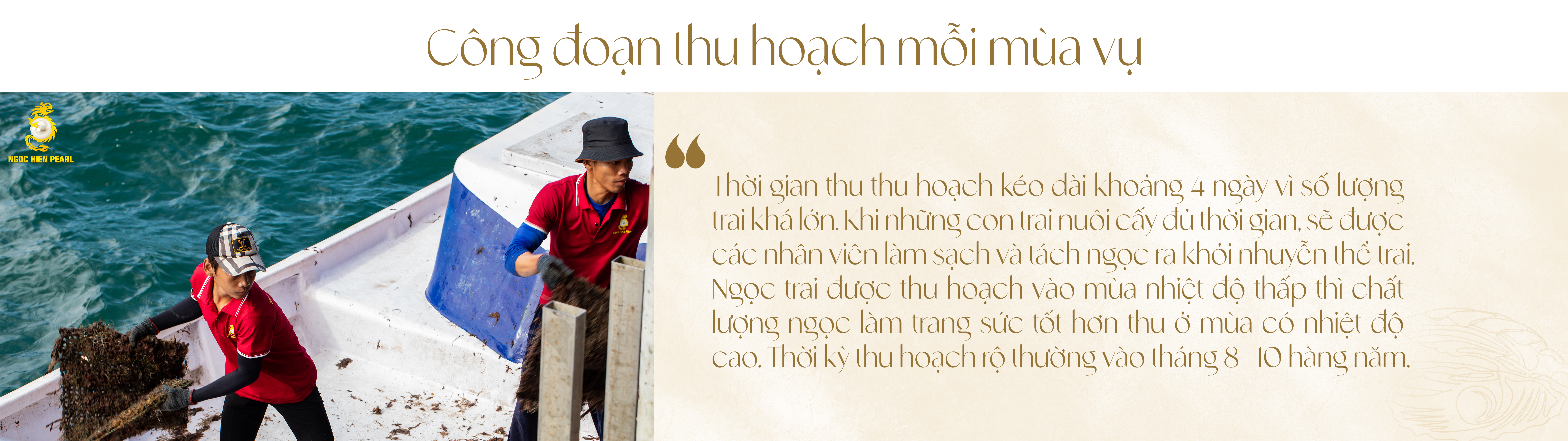 Ngọc trai Ngọc Hiền