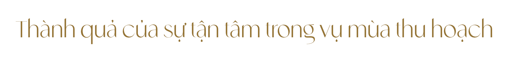 Ngọc trai Ngọc Hiền