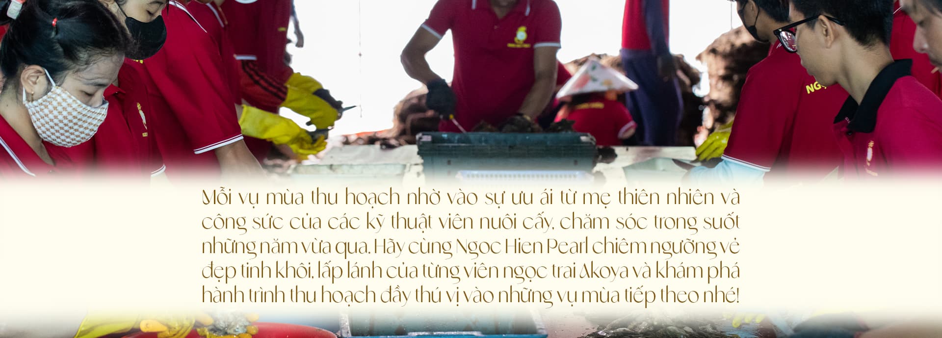 Ngọc trai Ngọc Hiền