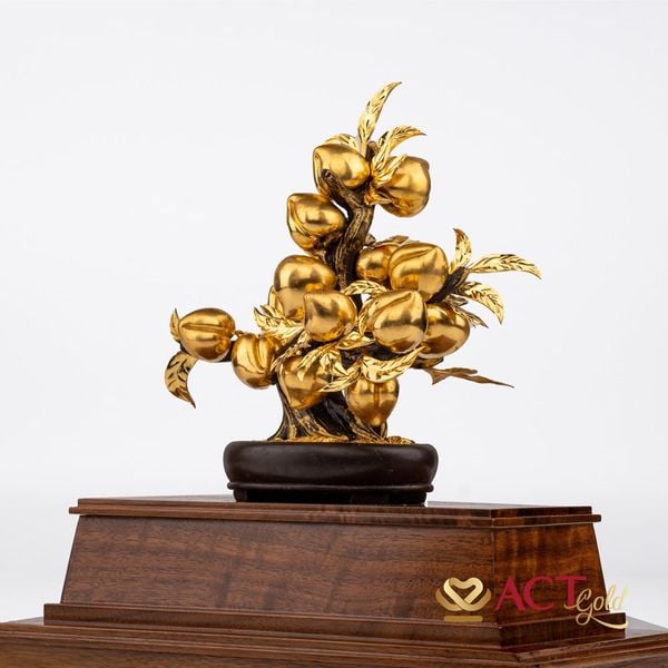 Hình ảnh sản phẩm