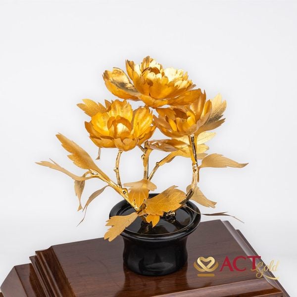 Hình ảnh sản phẩm