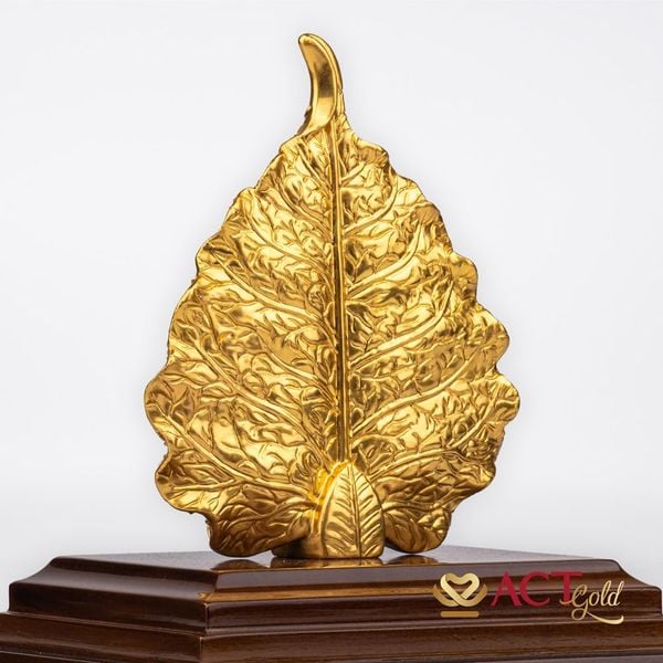 Hình ảnh sản phẩm