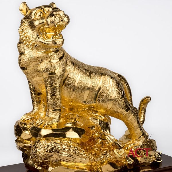 Hình ảnh sản phẩm
