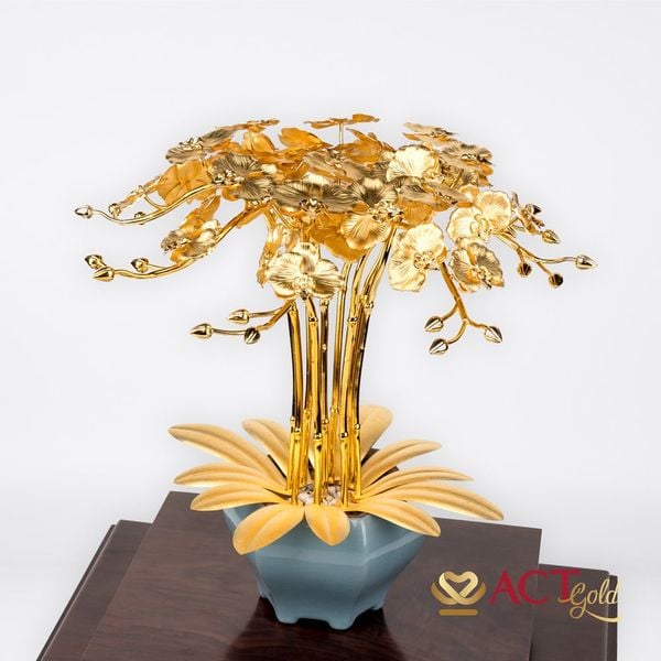 Hình ảnh sản phẩm