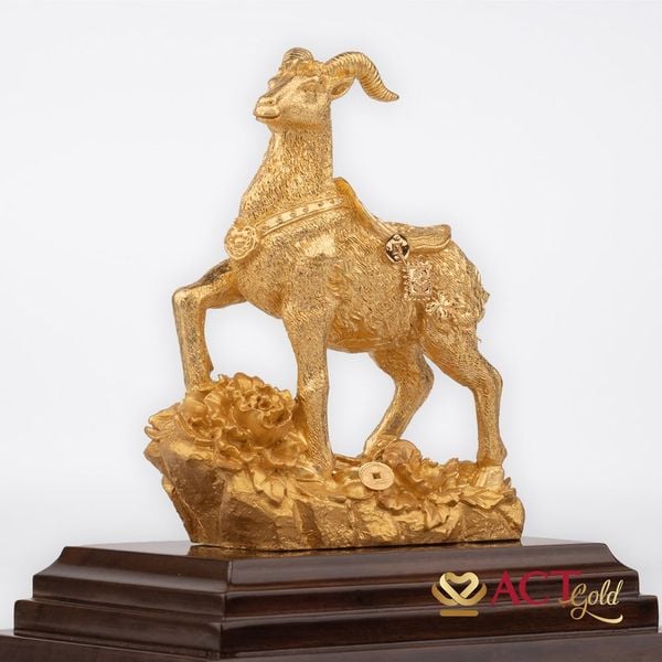 Hình ảnh sản phẩm