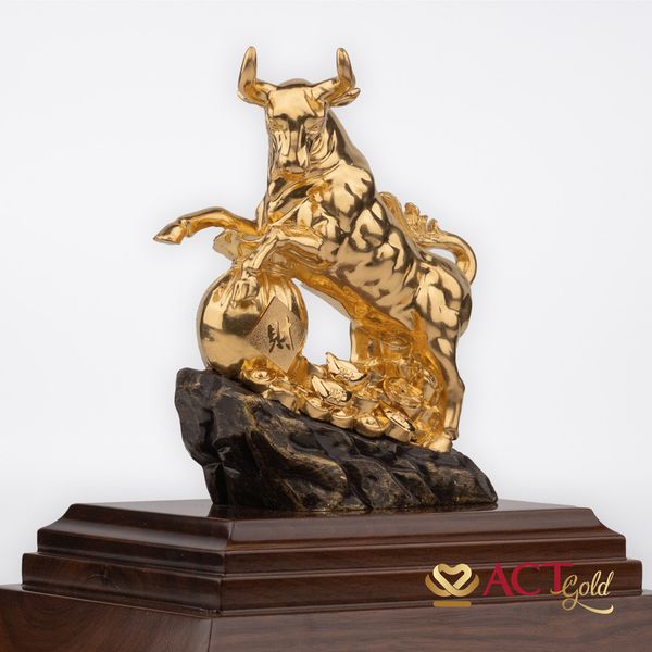 Hình ảnh sản phẩm