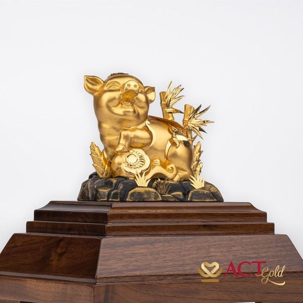 Hình ảnh sản phẩm
