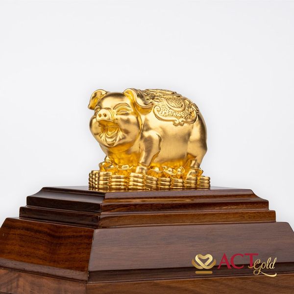 Hình ảnh sản phẩm