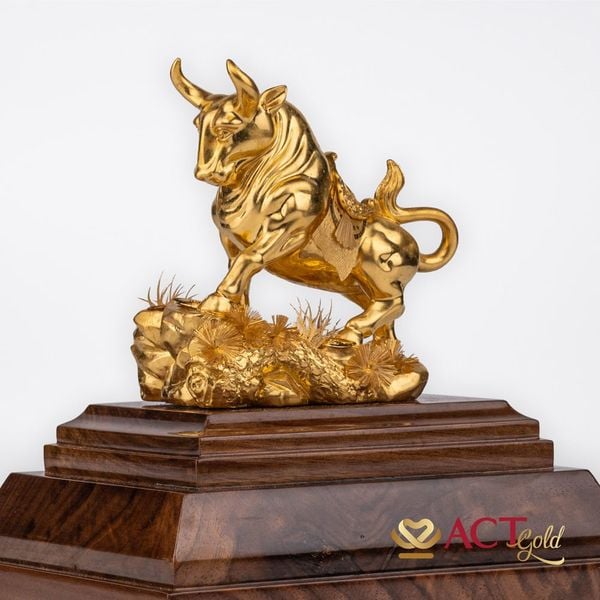 Hình ảnh sản phẩm