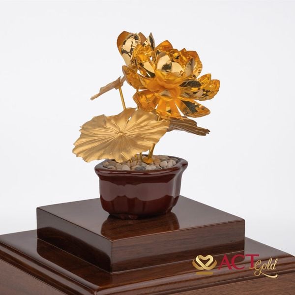 Hình ảnh sản phẩm