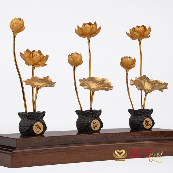 Hình ảnh sản phẩm