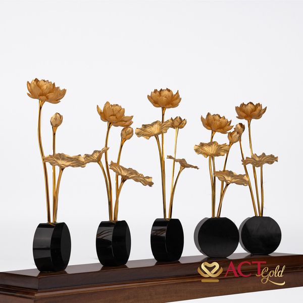 Hình ảnh sản phẩm