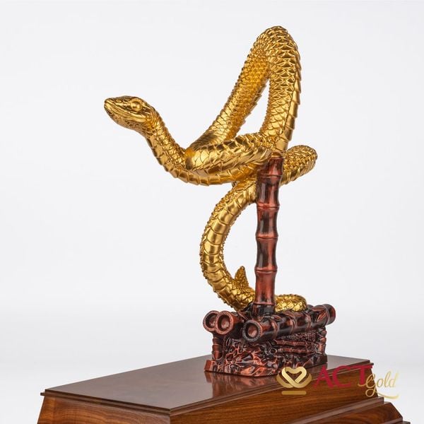 Hình ảnh sản phẩm