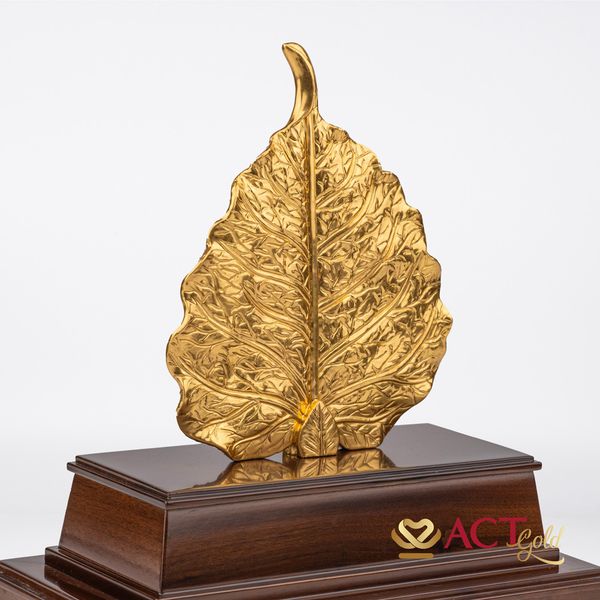 Hình ảnh sản phẩm