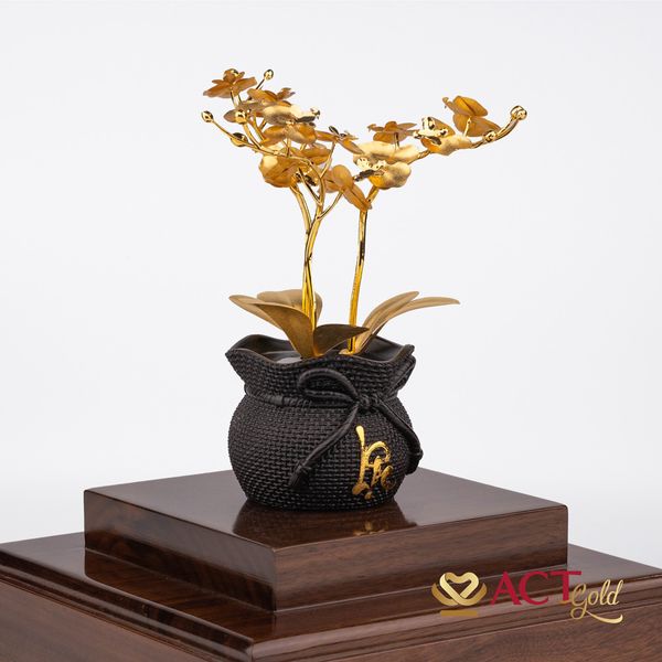Hình ảnh sản phẩm