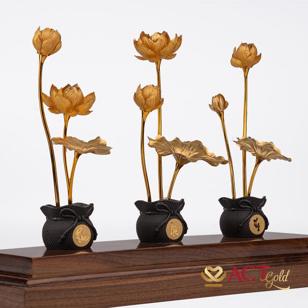 Hình ảnh sản phẩm