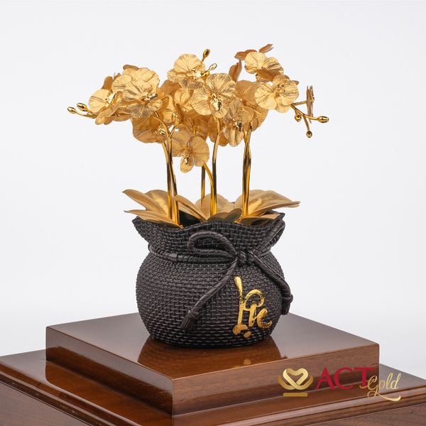 Hình ảnh sản phẩm