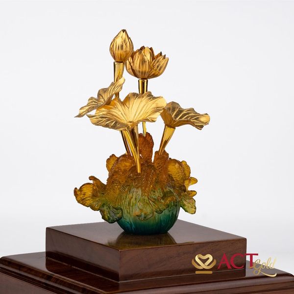 Hình ảnh sản phẩm