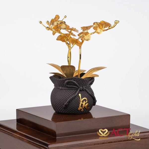 Hình ảnh sản phẩm