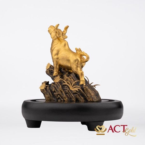 Hình ảnh sản phẩm