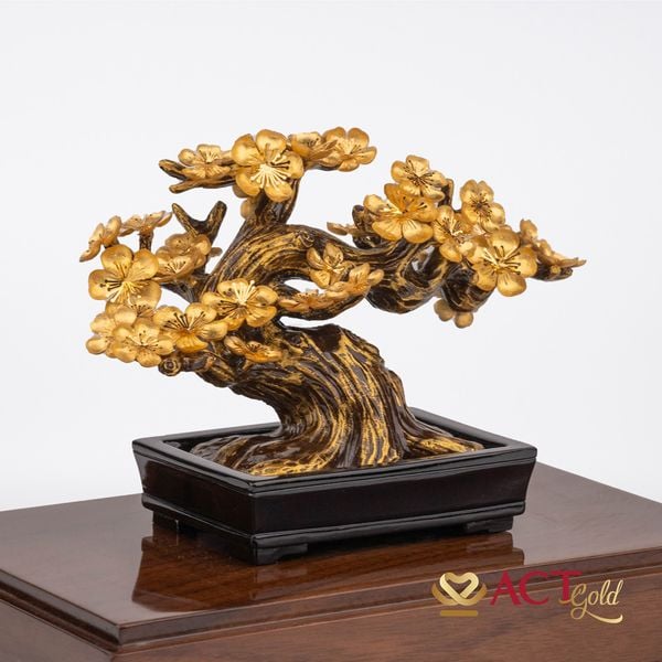 Hình ảnh sản phẩm