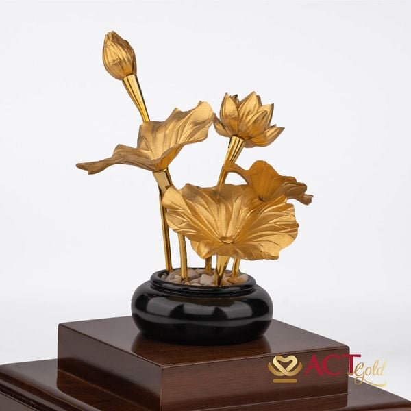 Hình ảnh sản phẩm