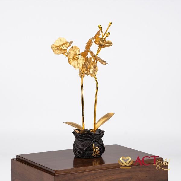 Hình ảnh sản phẩm