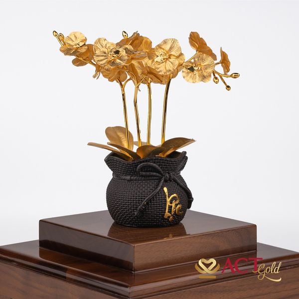 Hình ảnh sản phẩm