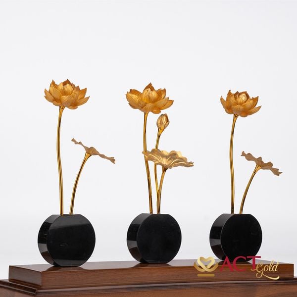 Hình ảnh sản phẩm