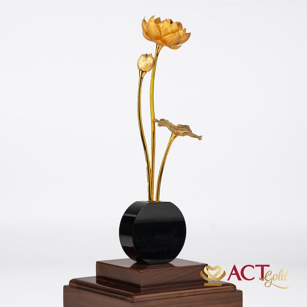 Hình ảnh sản phẩm