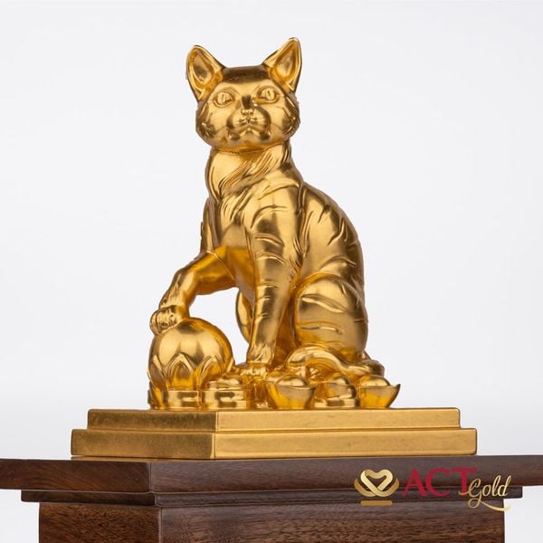 Hình ảnh sản phẩm