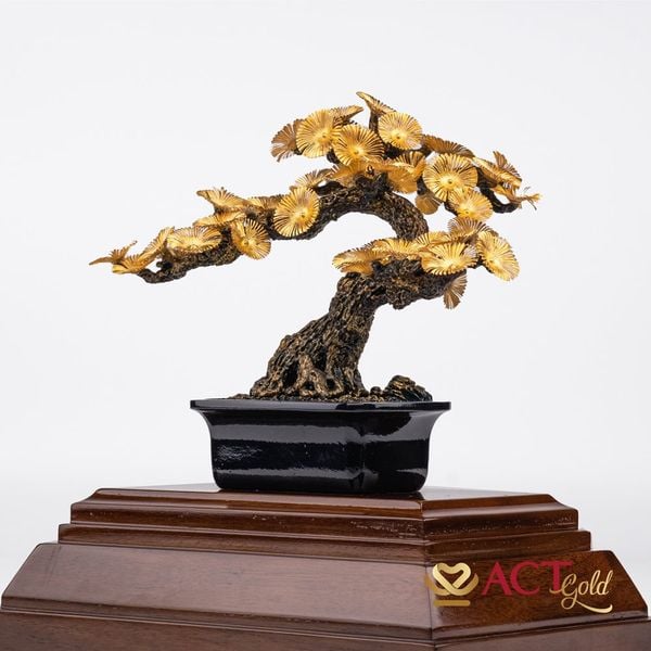 Hình ảnh sản phẩm