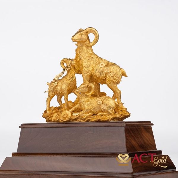 Hình ảnh sản phẩm