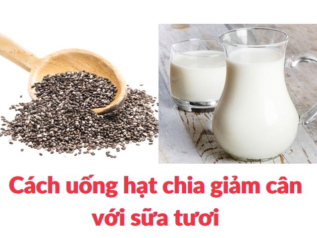 4 Cách uống hạt chia giảm cân với sữa hiệu quả nhanh, an toàn
