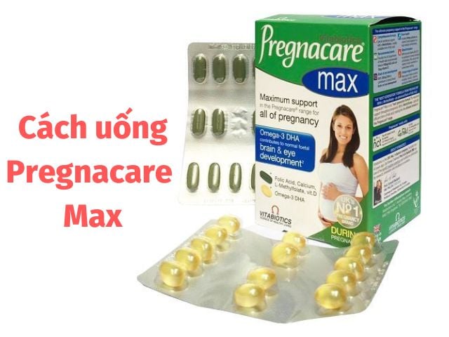 Cách uống Pregnacare Max bầu đúng hiệu quả nhất (Chi tiết cho mẹ)