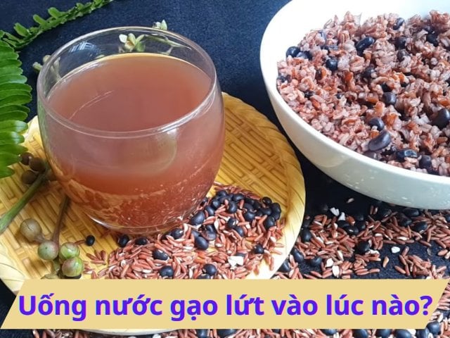 Cách uống Menevit và tinh chất hàu đạt hiệu quả tốt nhất (Chi tiết)