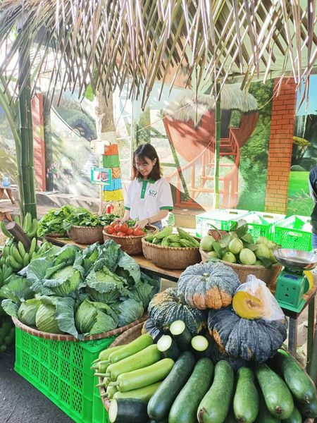 Sản phẩm của Núi Xanh được giới thiệu tại phiên chợ nông sản địa phương. Sản phẩm của Núi Xanh được giới thiệu tại phiên chợ nông sản địa phương.