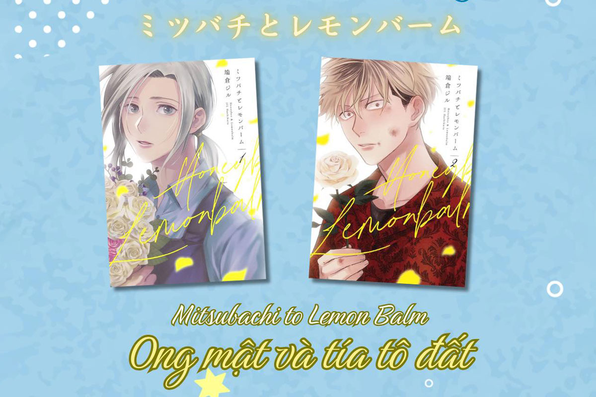 Ong Mật Và Tía Tô Đất - Tựa Manga Bl Mới Toanh Của Amak - Sẽ Có Gì?