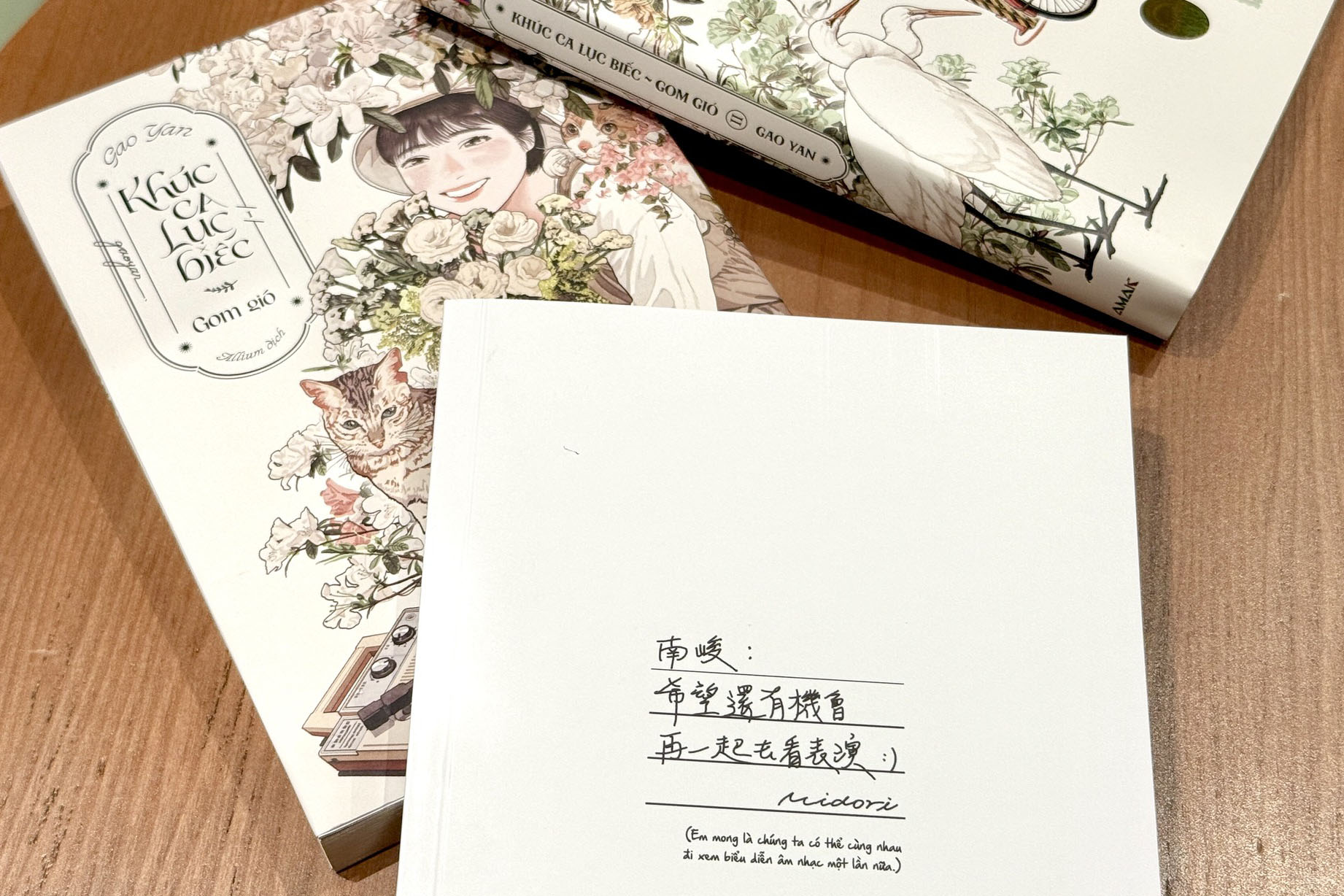 Khúc Ca Lục Biếc Gom Gió - Bản nhạc dịu dàng cho những tâm hồn lạc lối