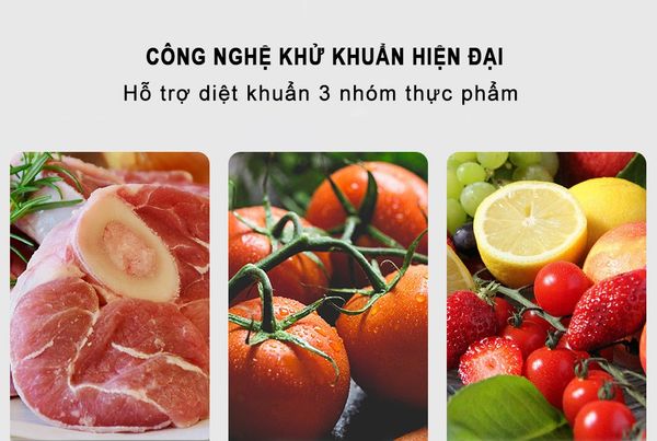 Máy Rửa Khử Trùng Rau Củ Quả Xiaoda