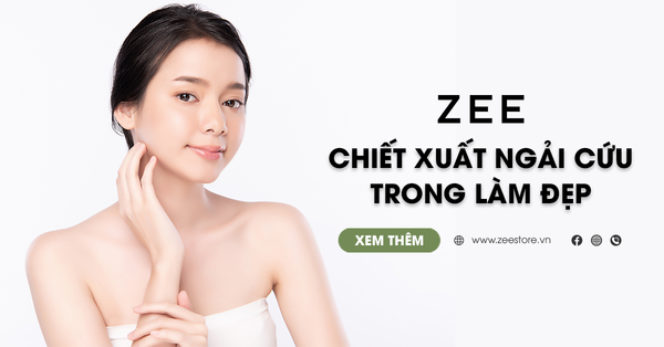 Tìm Hiểu Chiết Xuất Ngải Cứu Có Tác Dụng Gì Trong Làm Đẹp