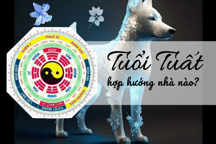 Hướng Nhà Tuổi Tuất 1982 Hợp Phong Thuỷ, Thu Hút Vận Khí