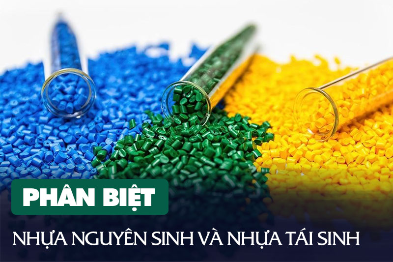 Khám Phá Sự Khác Biệt Giữa Nhựa Nguyên Sinh Và Tái Sinh