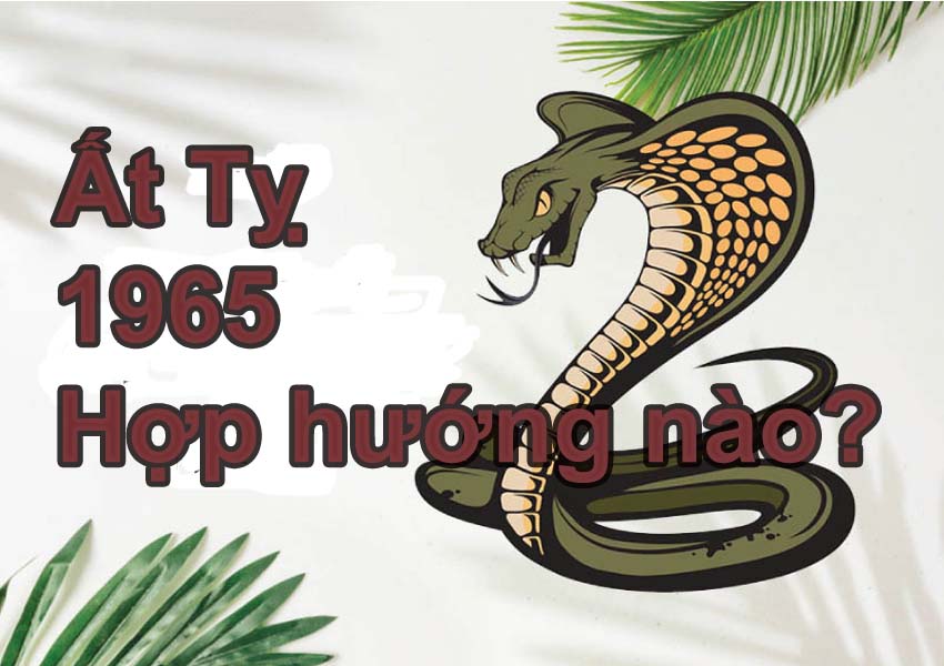 Phong Thuỷ Hướng Nhà Tuổi Ất Tỵ Cho Nam Và Nữ