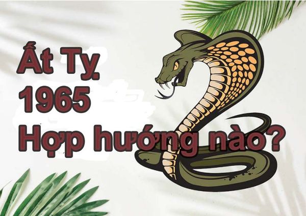 Phong Thuỷ Hướng Nhà Tuổi Ất Tỵ Cho Nam Và Nữ